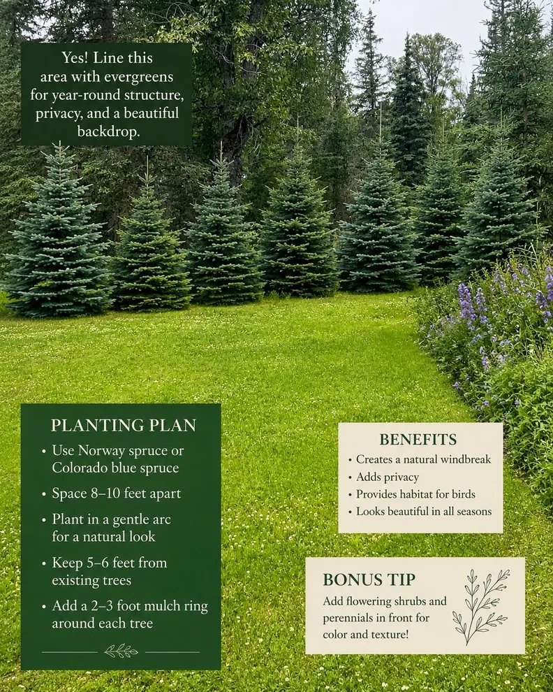 ChatGPT’s mockup of a row of evergreens along the edge of the lawn, with a planting plan