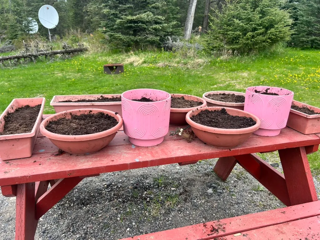 Empty pots filled with potting soil lined up on a red picnic table